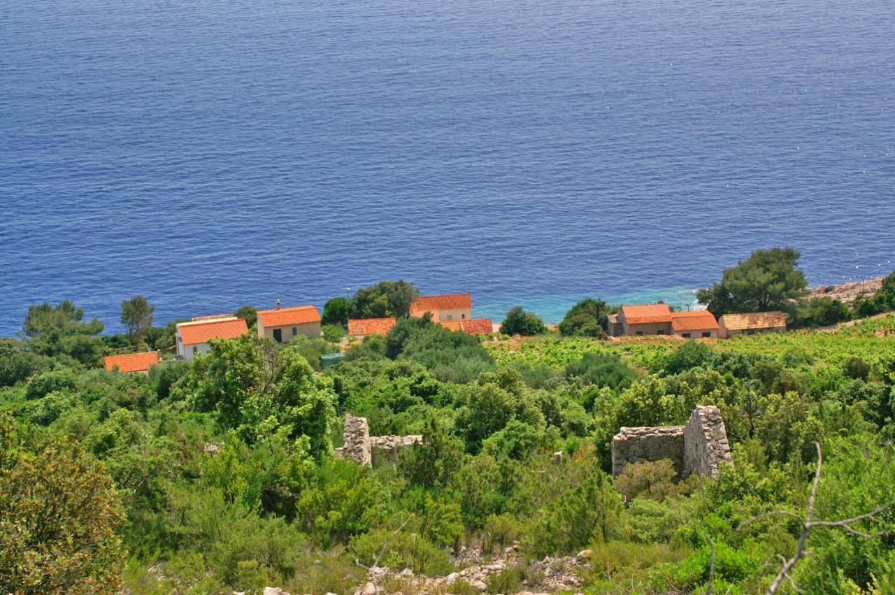 Apartments By The Sea Dingac - Potocine, Peljesac - 4533 Potomje Zewnętrze zdjęcie