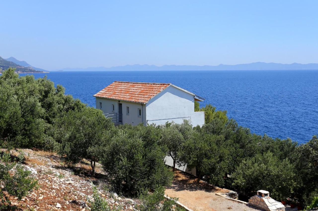 Apartments By The Sea Dingac - Potocine, Peljesac - 4533 Potomje Zewnętrze zdjęcie